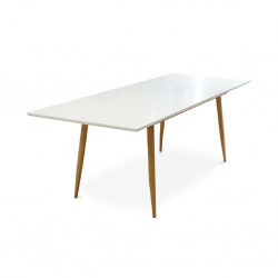 Newton Table