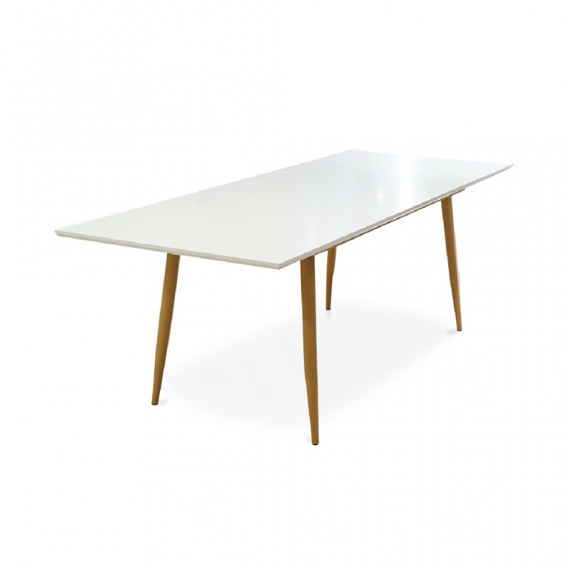 Newton Table