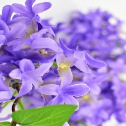 Flower 93 cm purple