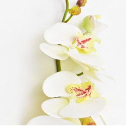 Flower 118 cm white