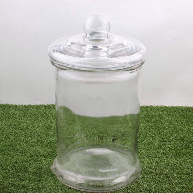 Zibo PJ26 5L Glass Cookie Jar "O"