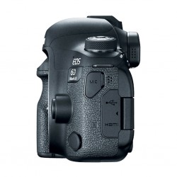 Canon EOS 6D Mk II & 24-105 IS STM Lens (26 MP)