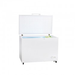 Hisense H400CF Freezer