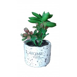 Flower with pot 15cm
