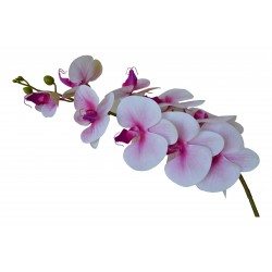 Flower 94cm