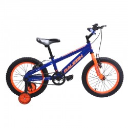 Raleigh ENDURO2B16-18 16" 2.0 Boys MTB